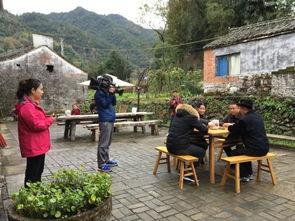 紫泥村头条,探寻乡村发展新路径，共筑美好家园