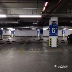 盐城停车场爆料视频最新,违规停车现象引发热议