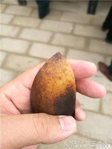 籽料原石细度怎么看的,揭秘籽料原石品质的奥秘