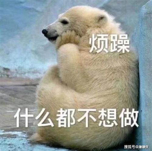 吃瓜群众本人图片高清,吃瓜群众本尊风采大曝光