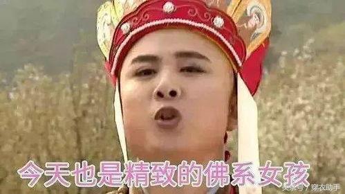 明星爱佛,探寻明星信仰背后的故事与感悟