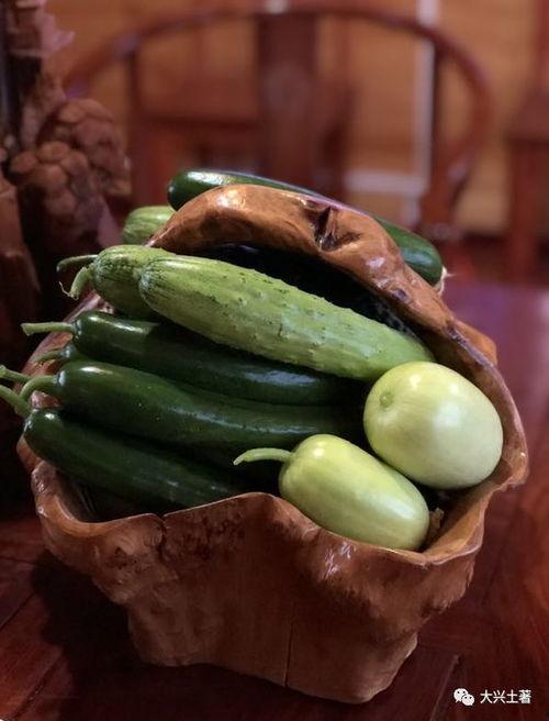 网红吃张露文的瓜,张露文瓜料大公开！