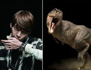 韩国明星恐龙,跨越时空的明星魅力与恐龙传奇