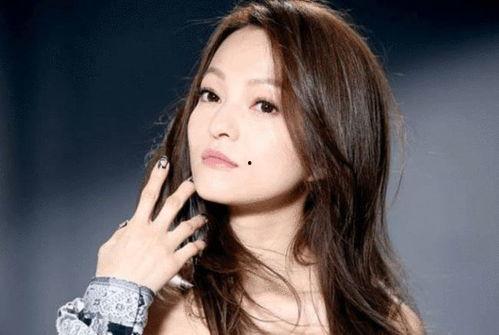 歌手的明星有哪些明星,揭秘合作过的歌手背后的明星阵容