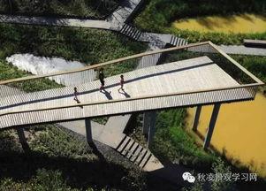 哈尔滨群力头条新闻,聚焦发展成果与未来规划