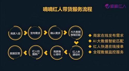 网红套路深度分析怎么写,深度剖析网络红人的吸粉秘诀与营销策略