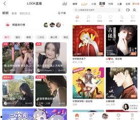 头条直播如何调声音,头条直播音量调节技巧全解析