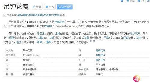 深圳头条相册里的照片,相册里的城市瞬间