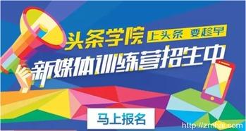 今日头条绿色通道,共筑美好未来——今日头条绿色通道政策解读