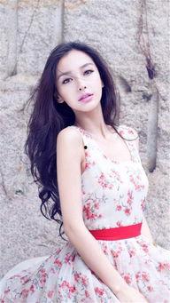 娱乐明星圈,明星们的辉煌与挑战