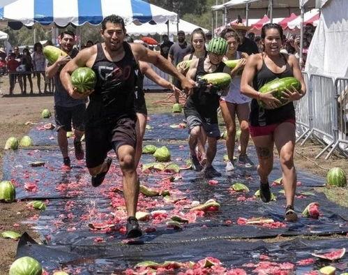 狂欢吃瓜,一场别开生面的吃瓜狂欢之旅